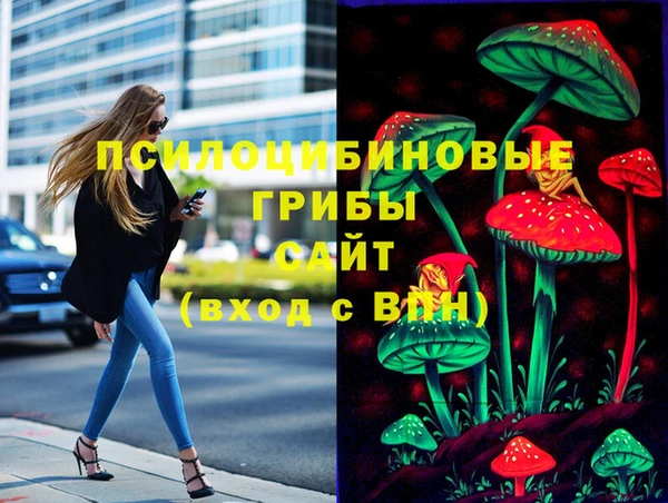 не бодяженный Алзамай