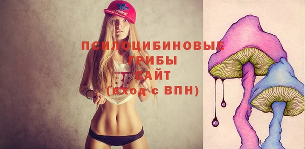 apvp Арсеньев